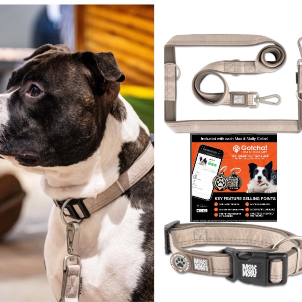 Max & Molly Leash (S) Matrix 2.0 Sand & GOTCHA!‎ Smart ID Collar (XS)